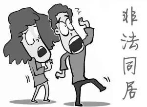 非法同居的法律后果